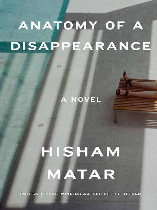 Couverture de Anatomy of a Disappearance